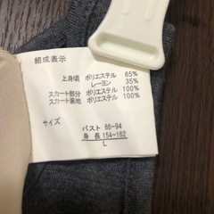 チュニック　プリーツ付きの画像