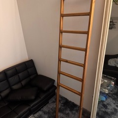 立て掛け収納ラック　梯子の画像