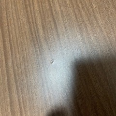 【7月29日で処分】こたつテーブルの画像