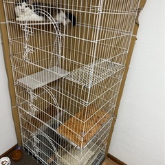 猫ケージ 　大型の画像