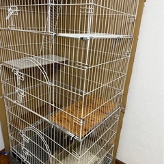 猫ケージ 　大型の画像