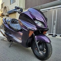 フォルツァZの画像