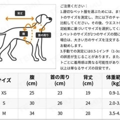 犬　ファッションの画像