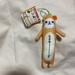 🩷のびねこシリーズ