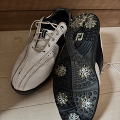 FJゴルフシューズ　フットジョイ27.0cmの画像
