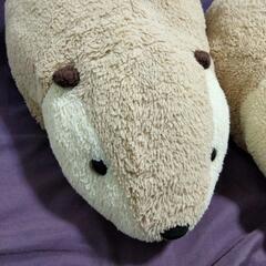 ぬいぐるみの画像