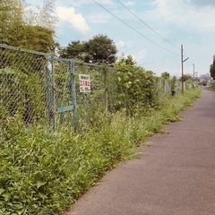 除草作業の画像