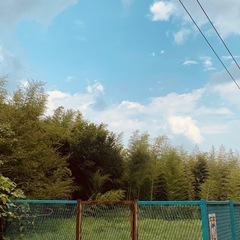 除草作業の画像