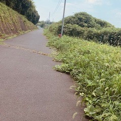 除草作業の画像