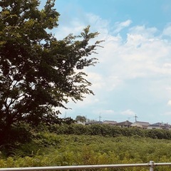 除草作業の画像