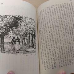 『谷間のゆり』バルザック　旺文社文庫の画像