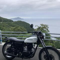 Kawasaki  250TRの画像