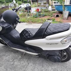 マジェスティ250の画像