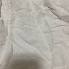 ショートパンツの画像