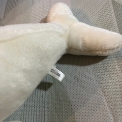 ぬいぐるみ の画像