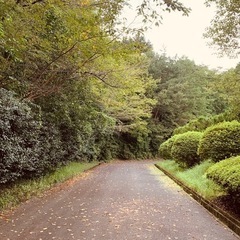 除草作業の画像