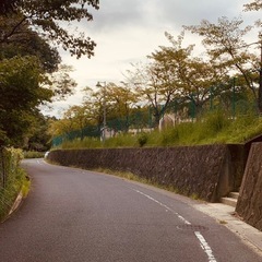 除草作業の画像