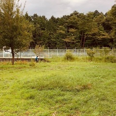 除草作業の画像