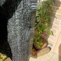 トマト🍅の植木鉢の画像