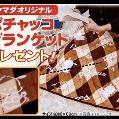ポチャッコ　膝掛けの画像