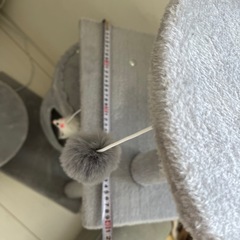 キャットタワーの画像