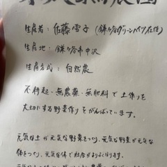 自然農　無農薬野菜セット　お任せ10種類前後　2000円の画像