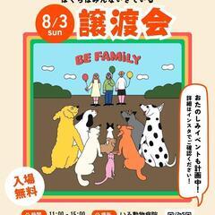 8月3日　いろ動物病院　保護犬　保護猫　譲渡会
