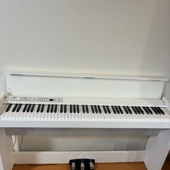 【関東配送相談可能】LP-380 KORG Amazon.com: Korg LP380-88 - Key Digital Piano, Black
