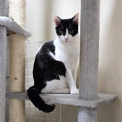 遊ぶの大好きなすずちゃん❣️ − 千葉県