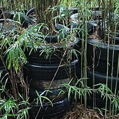 トラックのタイヤ差し上げますの画像