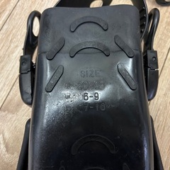 ③フィンセットの画像