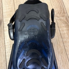 ③フィンセットの画像