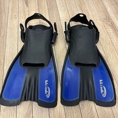 ③フィンセットの画像