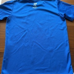 Ｔシャツの画像