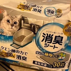 猫用のトイレの画像