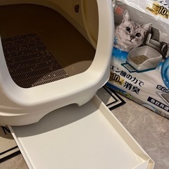 猫用のトイレの画像