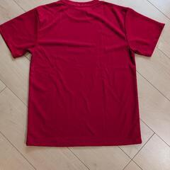 赤　無地Tシャツの画像