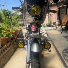 ホンダ　リトルカブ　ハンターカブ仕様　　   の画像