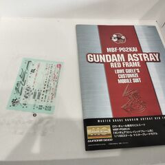 GUNDAM ASTRAY RED FIRE の画像