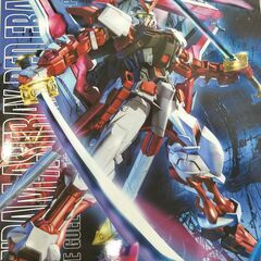 GUNDAM ASTRAY RED FIRE の画像