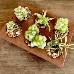 造花/多肉植物アレンジメント 6種 シャビーなケーキカップ焼き型に入ってますの画像
