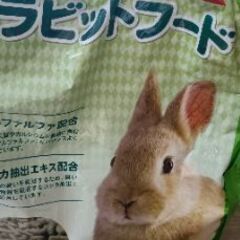 うさぎのフェレットと 牧草の画像