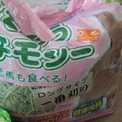 うさぎのフェレットと 牧草の画像