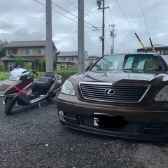 LEXUSの画像