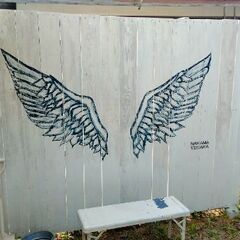 佐々町の正福寺さんの先にとってもかわいいめだかの無人販売所がオープンしました！の画像