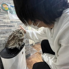  【東京23区】レンタル人間！お話し相手やお手伝い、なんで…