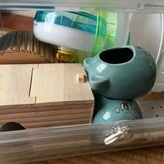 ハムスター用品の画像