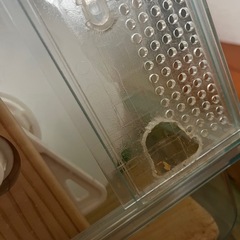 ハムスター用品の画像