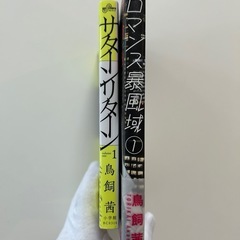 サターンリターン 1 巻ロマンス暴風域 1巻　鳥飼茜　全2冊セット青年漫画マンガの画像