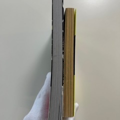 サターンリターン 1 巻ロマンス暴風域 1巻　鳥飼茜　全2冊セット青年漫画マンガの画像